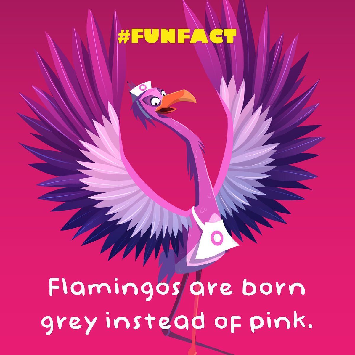 flamingo_fact