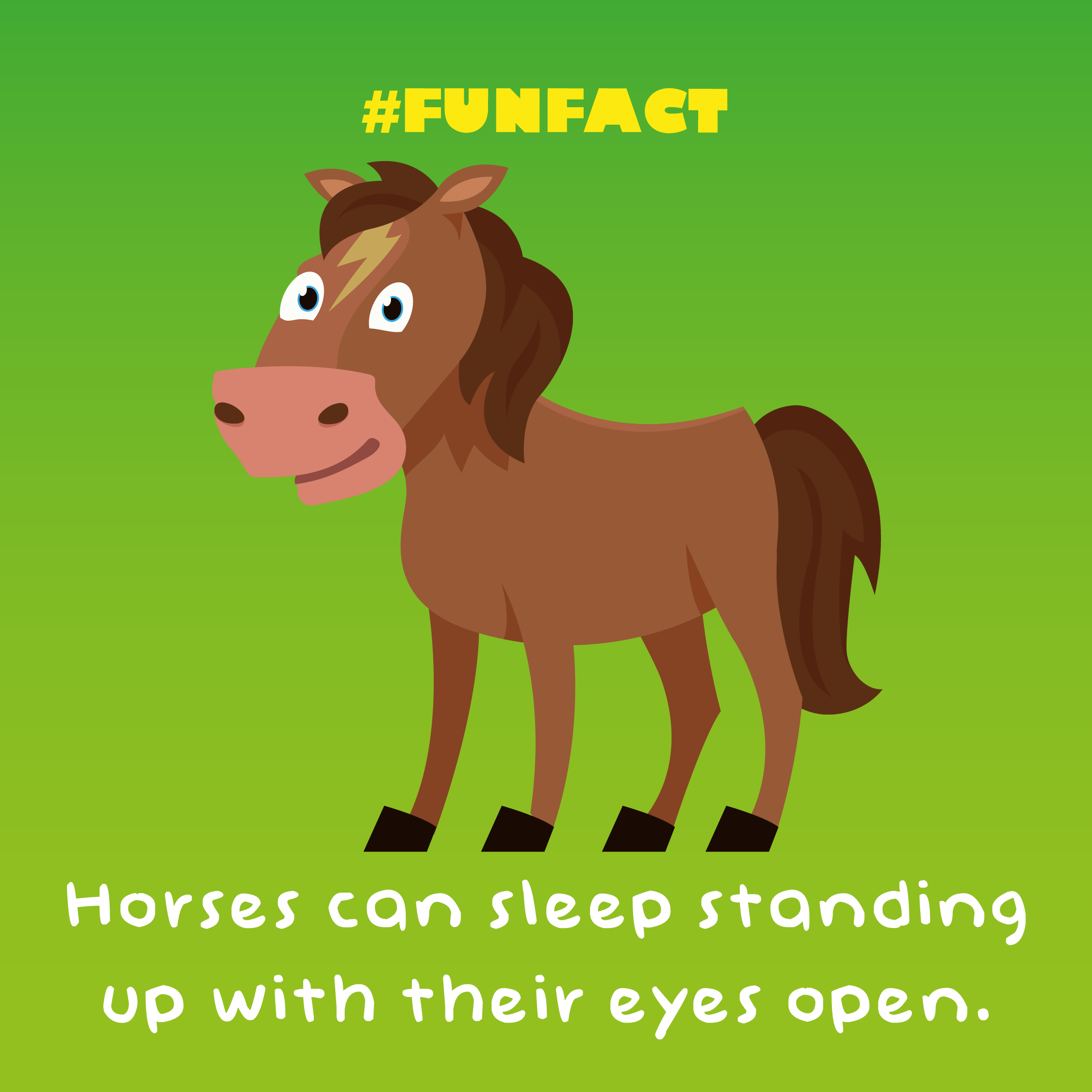 horse_fact