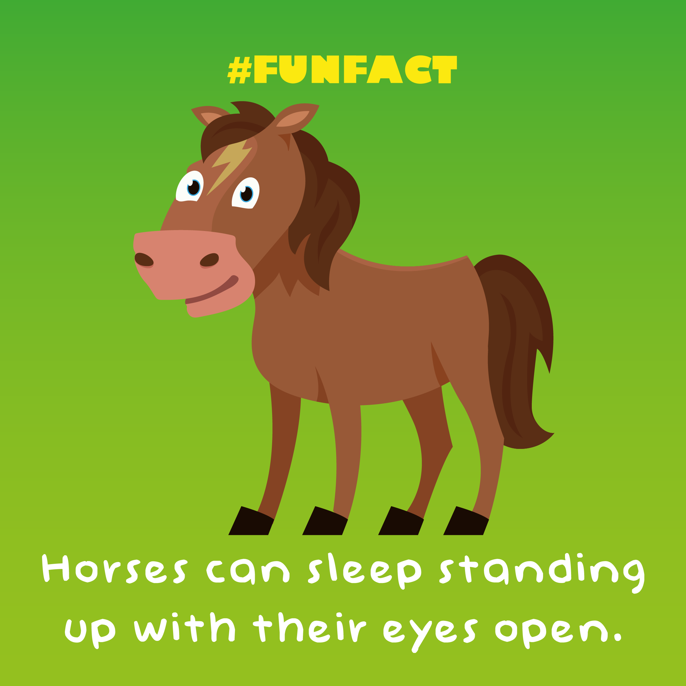 23 Fantastically Fun Facts For Kids Night Zookeeper Blog