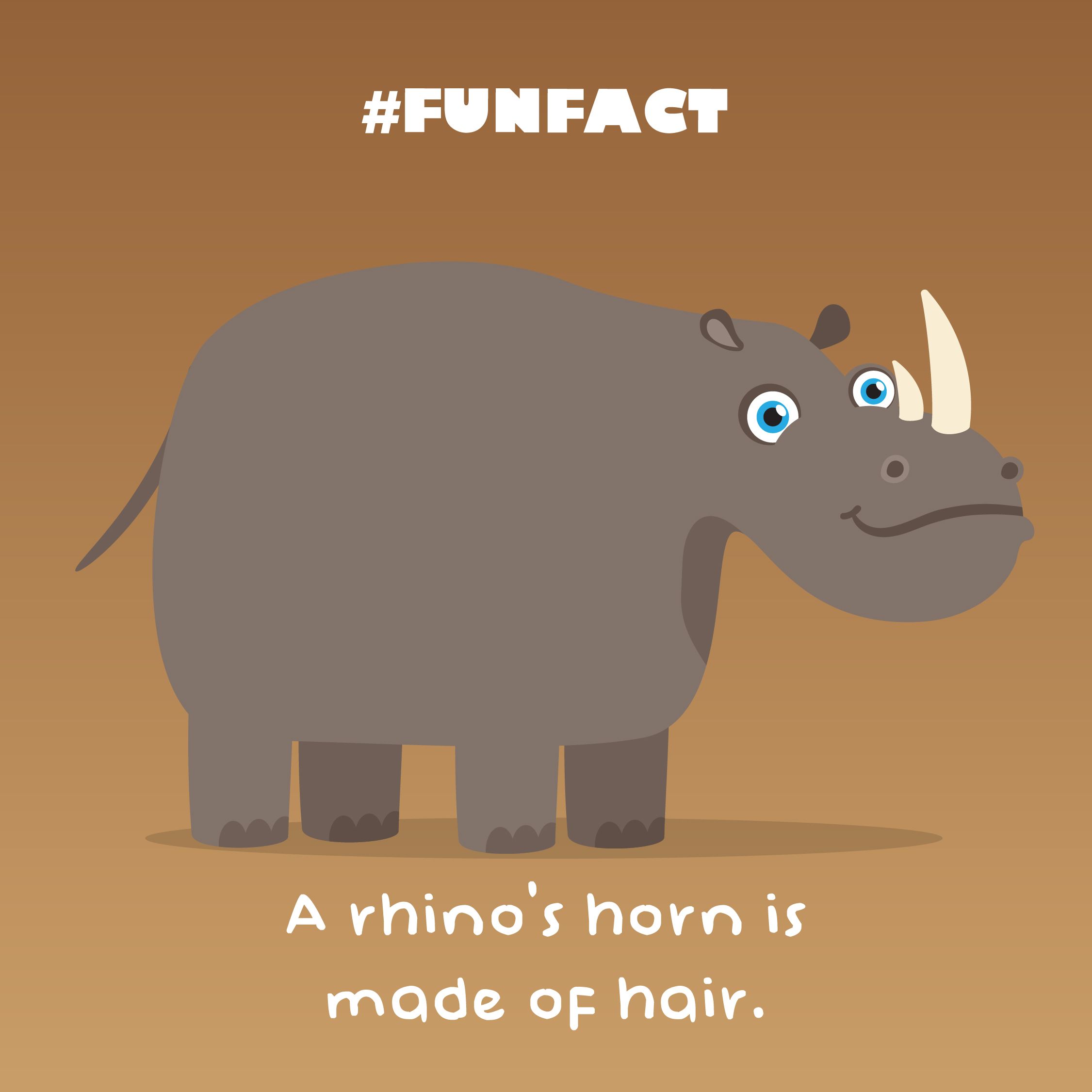 rhino_fact