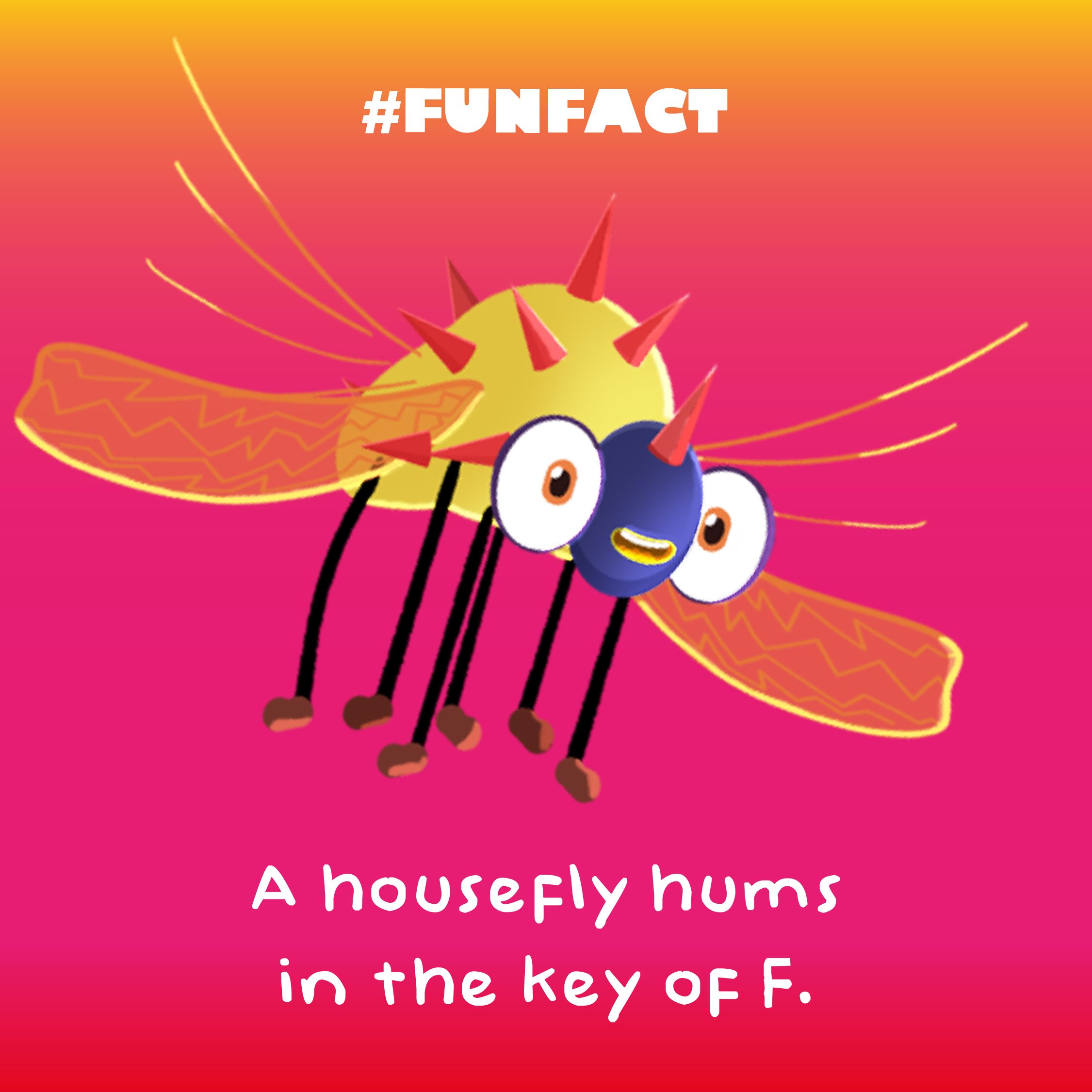 23 Fantastically Fun Facts For Kids Night Zookeeper Blog