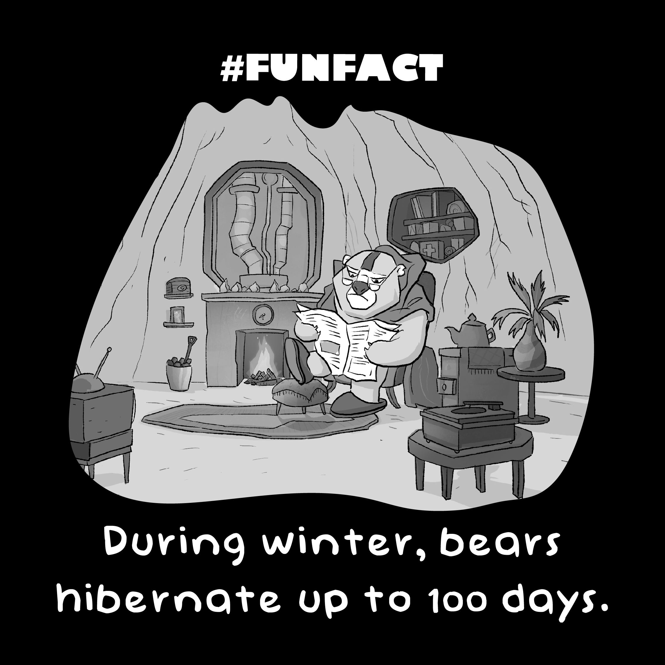 bear_fact