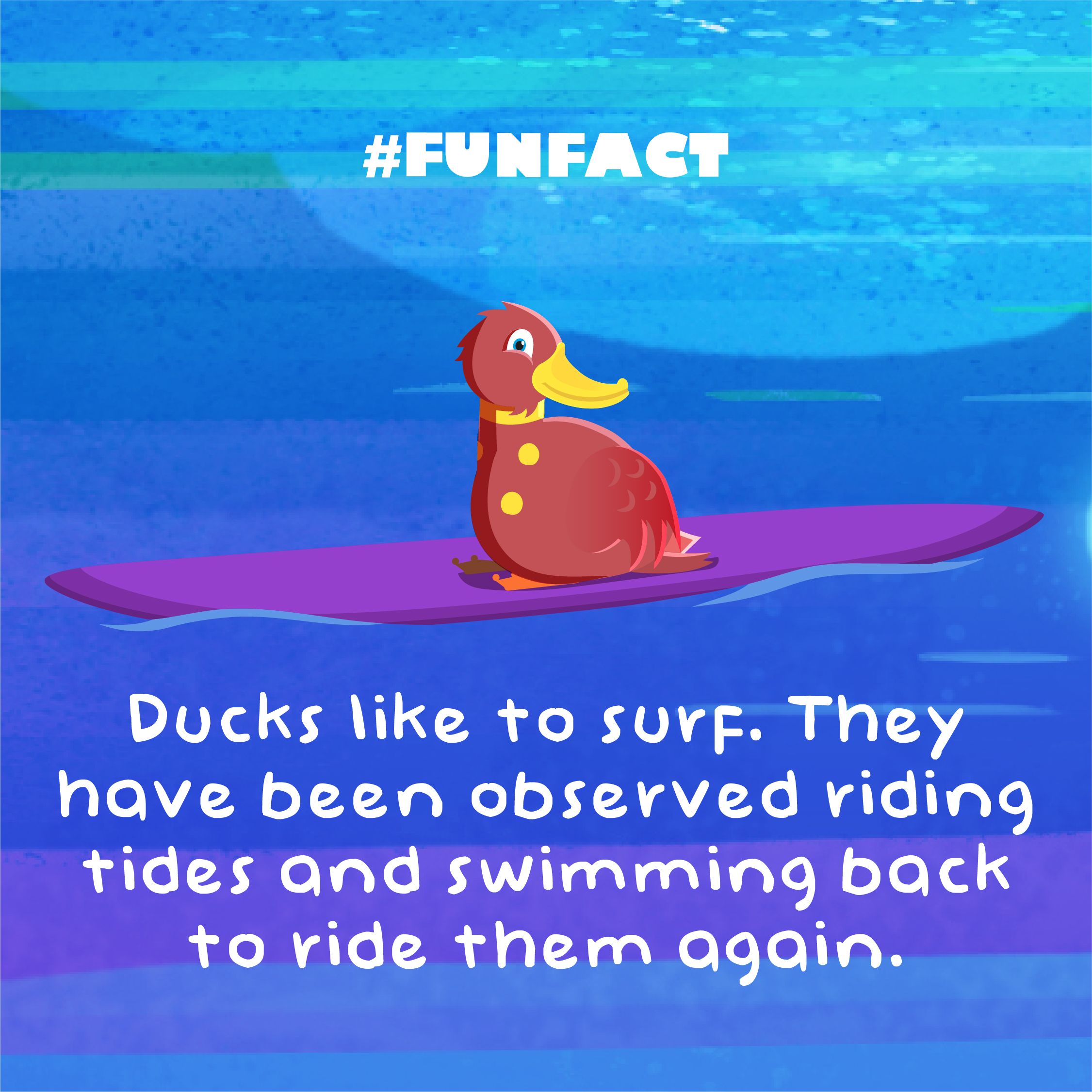 23 Fantastically Fun Facts for Kids | Night Zookeeper Blog