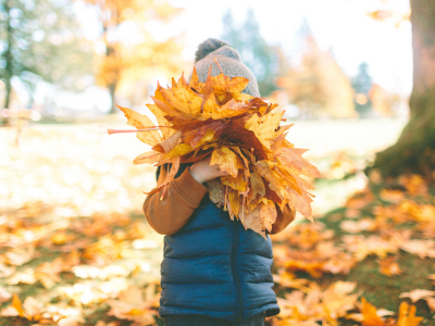 Child holding autumn leaves.