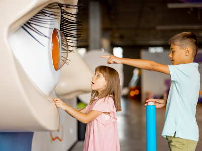 Two children interacting with an eye structure in a museum.