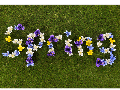 Spring written in Flowers