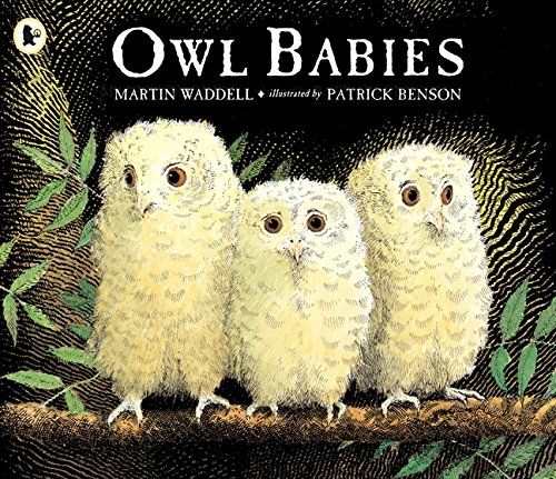 The owl babies book cover