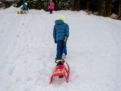 Children playing in the snow.