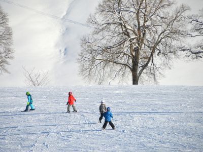 Children skiing.