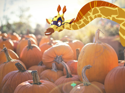 Pumpkins in sunlight, with Sam the Giraffe. 