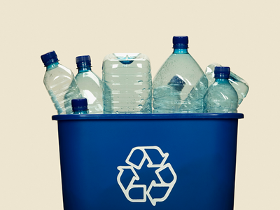 Bottles in recycling bin