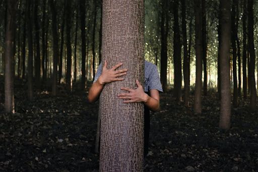 Person hiding behind a tree